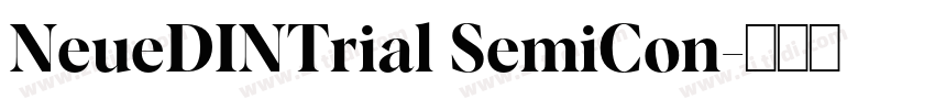 NeueDINTrial SemiCon字体转换